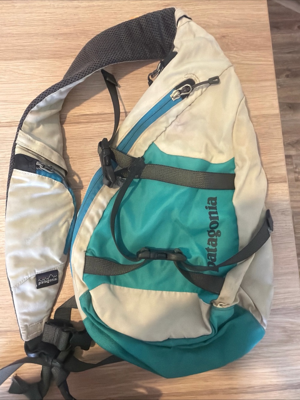 Patagonia Teal & Cream Sling Belt Bag
